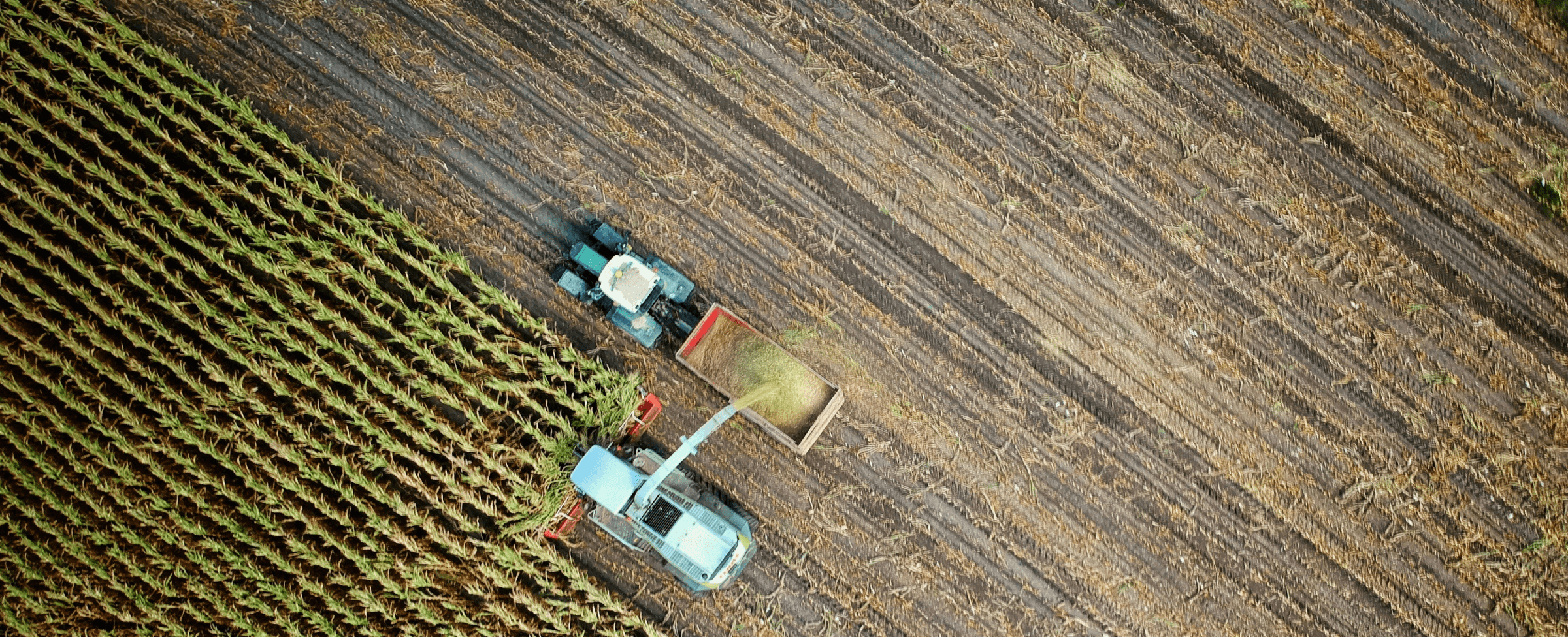 Agricultural field viewed from above with a tractor harvesting